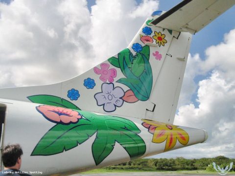 F-OIJB · ATR 42-500, Pointe-à-Pitre – Maryse Condé