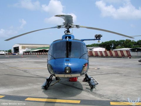 Aéroport · Autres, Pointe-à-Pitre – Maryse Condé