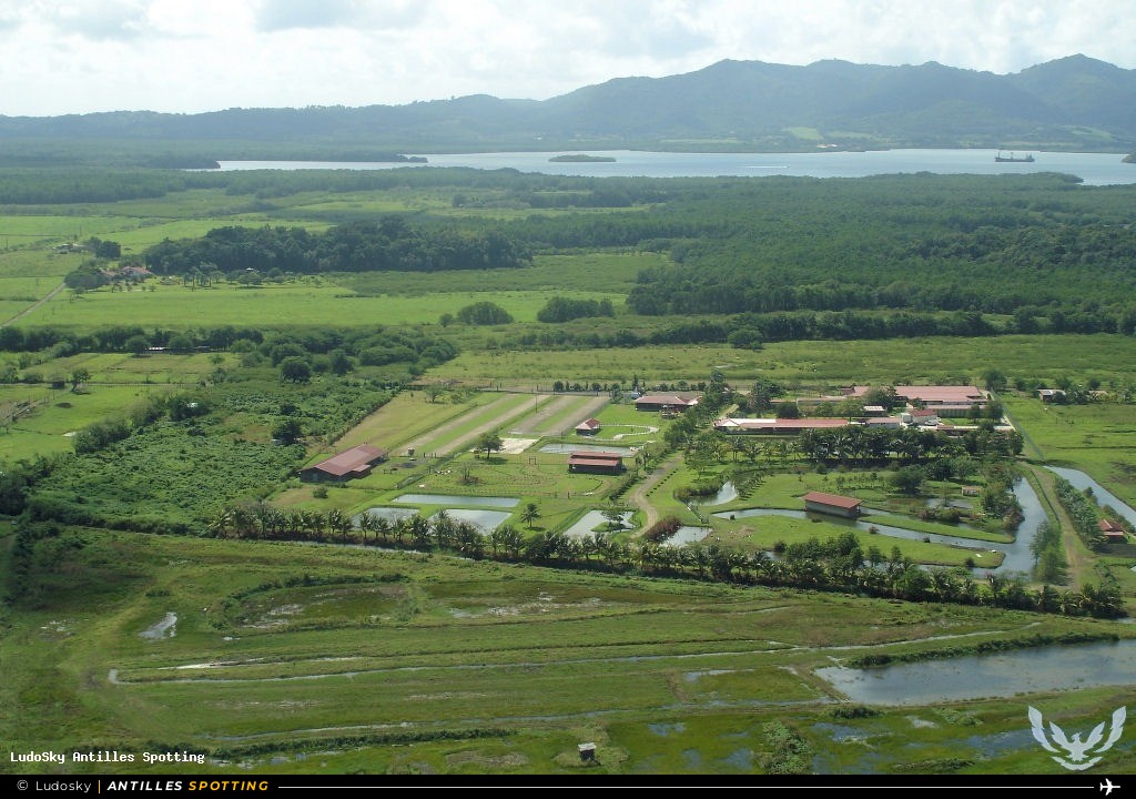Aéroport · Vue aérienne, TFFF - Martinique – Aimé Césaire, Martinique – Aimé Césaire
