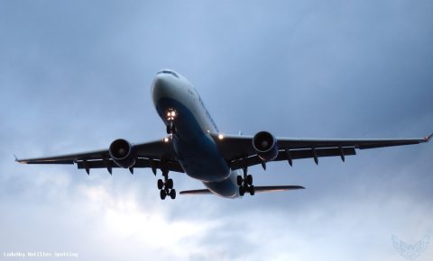 F-OPTP · Airbus A330-200, Martinique – Aimé Césaire