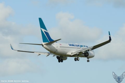 C-GLWS · Boeing 737-700, Martinique – Aimé Césaire