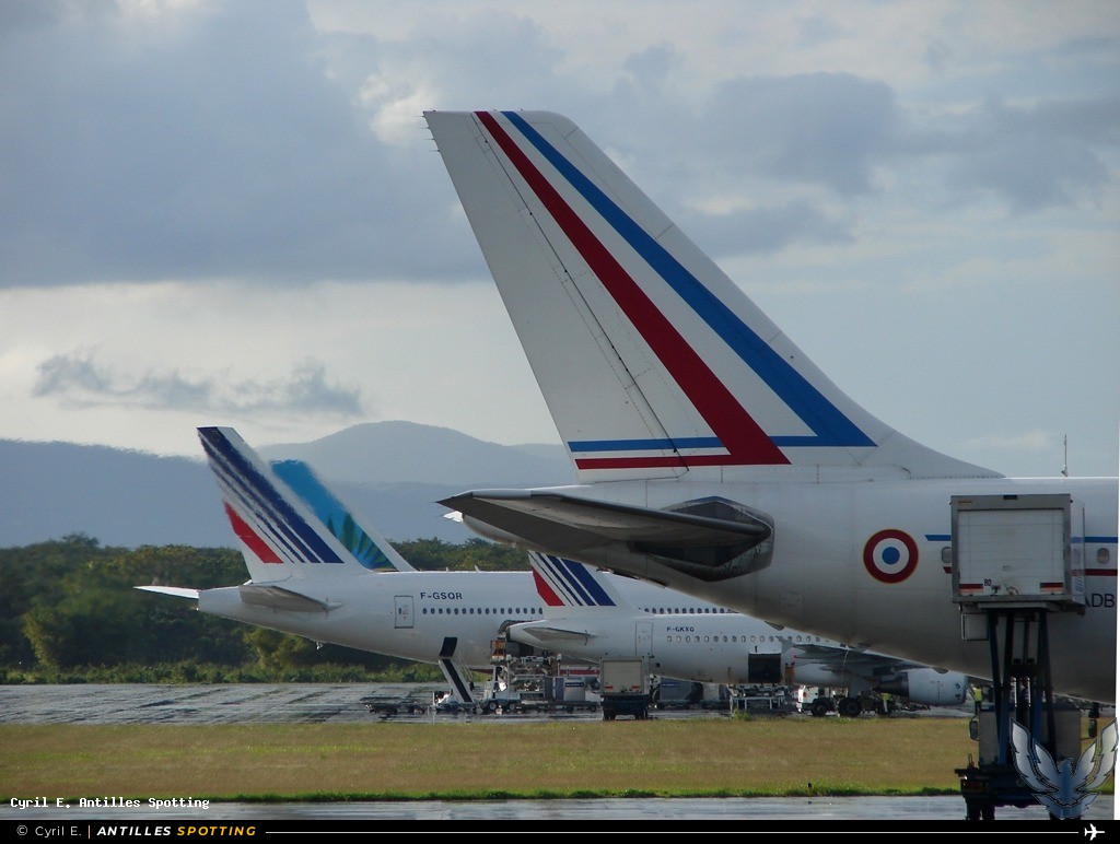 F-RADB · Airbus A310, République Française - COTAM, Pointe-à-Pitre – Maryse Condé
