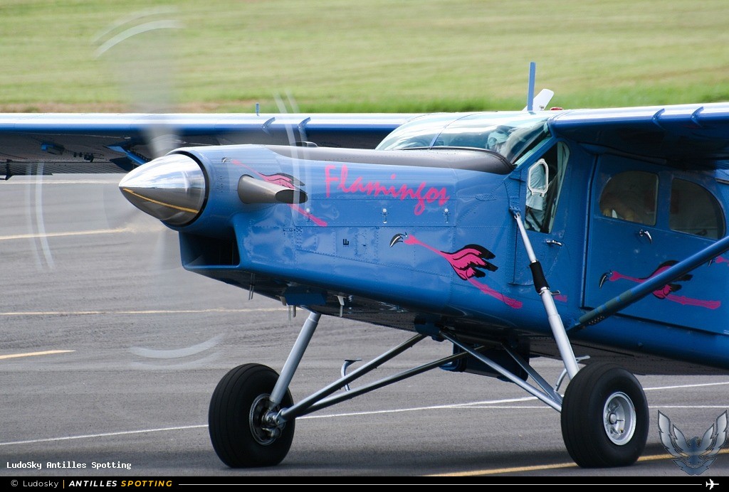 N77DQ · Pilatus PC-6 Porter, Atlantel Aeroservices, Pointe-à-Pitre – Maryse Condé