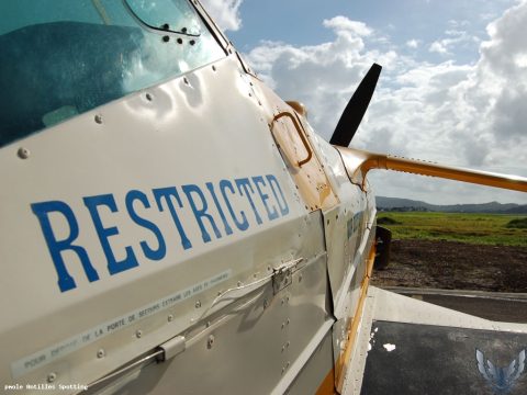 F-OIVR · Cessna 188 Agwagon (2008)
