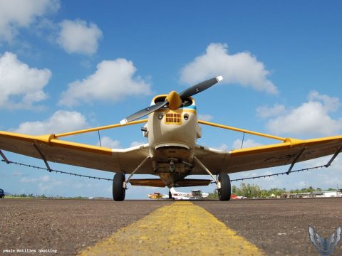 F-OIFR · Cessna 188 Agwagon (2008)