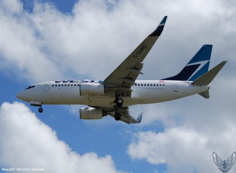 C-GUWS · Boeing 737-700, Martinique – Aimé Césaire