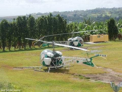 Airport · Other, Martinique – Aimé Césaire