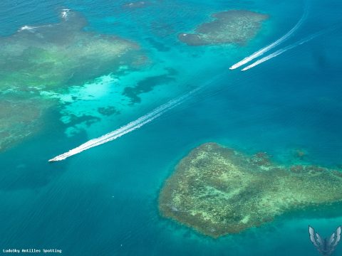Aéroport · Vue aérienne, Martinique – Aimé Césaire