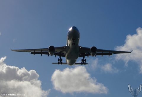 F-HCAT · Airbus A330-200, Martinique – Aimé Césaire