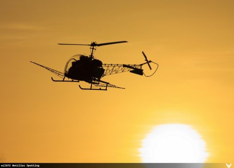 F-BTSF · Bell 47 (2009)