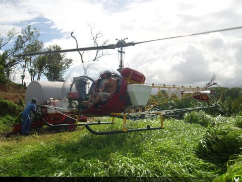 F-GBEG · Bell 47, Martinique – Aimé Césaire