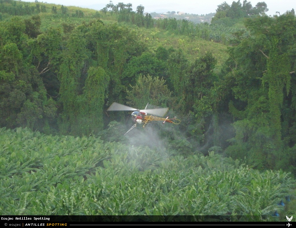 F-GBEG · Bell 47, Air Antilles Associés, Martinique – Aimé Césaire