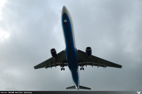 F-GOTO · Airbus A330-300, Martinique – Aimé Césaire