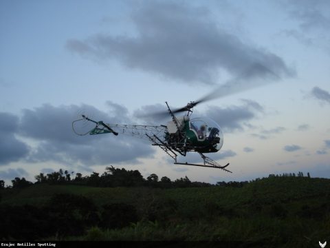 F-GCQM · Bell 47 (2010)