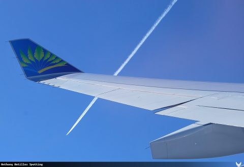 F-GOTO · Airbus A330-300, Paris-Orly