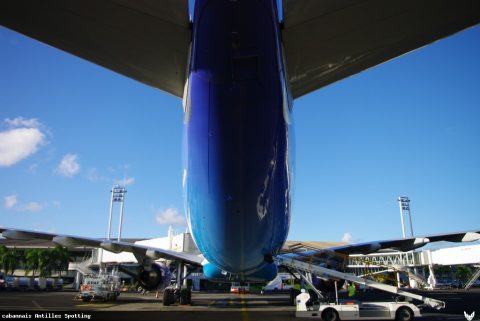 F-GOTO · Airbus A330-300, Martinique – Aimé Césaire