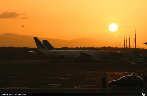 Aéroport · Terminal, Pointe-à-Pitre – Maryse Condé