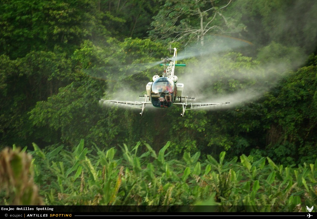F-BTSF · Bell 47, Air Antilles Associés, Martinique – Aimé Césaire