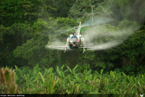 F-BTSF · Bell 47 (2010)