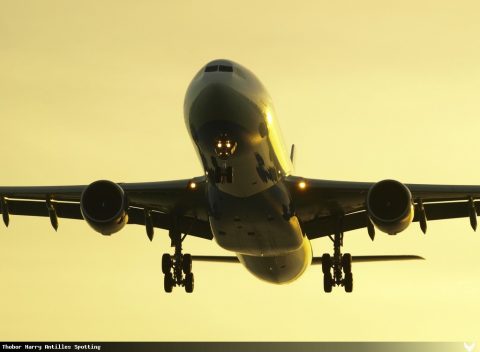 F-ORLY · Airbus A330-300, Martinique – Aimé Césaire