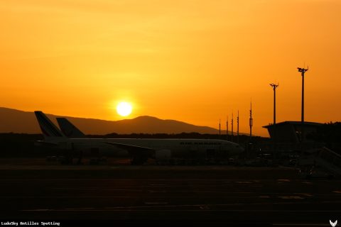 Aéroport · Terminal, Pointe-à-Pitre – Maryse Condé