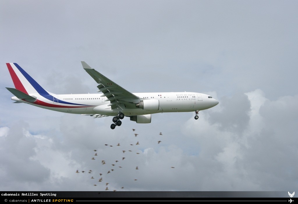 F-RARF · Airbus A330-200, République Française - COTAM, Martinique – Aimé Césaire