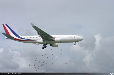 F-RARF · Airbus A330-200, Martinique – Aimé Césaire