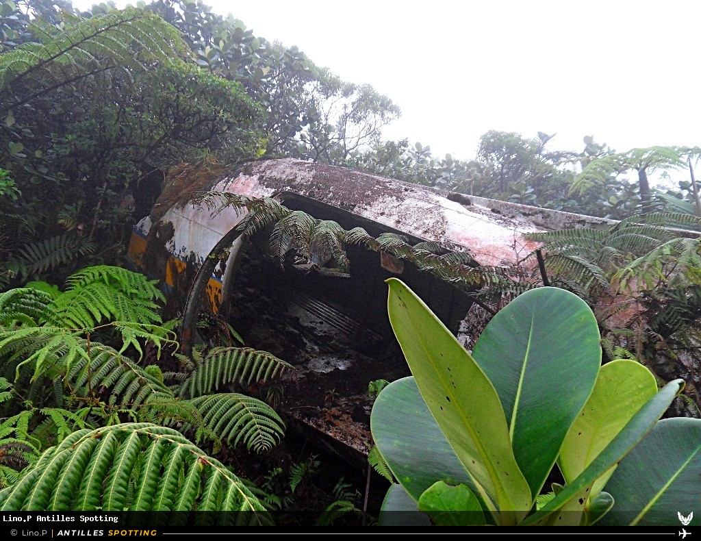 8P-AAC · Douglas DC-3 / C-47, Carib West Airways, Pointe-à-Pitre – Maryse Condé