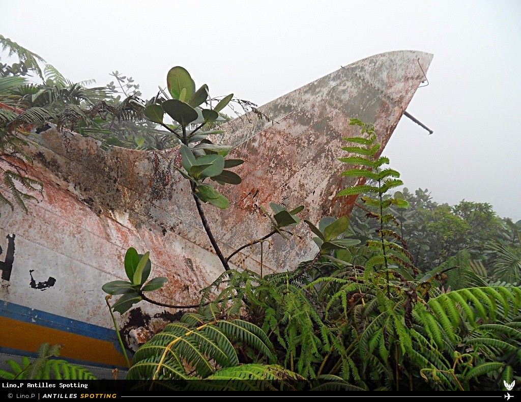 8P-AAC · Douglas DC-3 / C-47, Carib West Airways, Pointe-à-Pitre – Maryse Condé