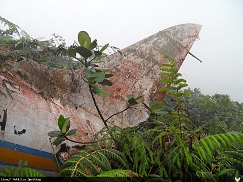 8P-AAC · Douglas DC-3 / C-47 (2011)