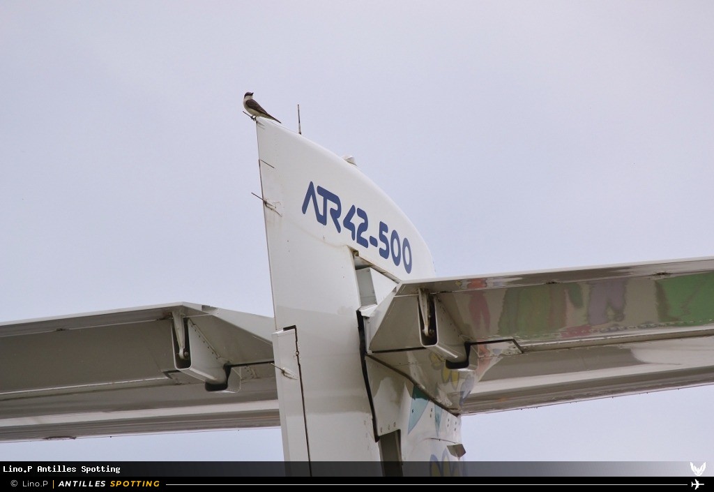F-OIXD · ATR 42-500, Air Antilles Express, Pointe-à-Pitre – Maryse Condé