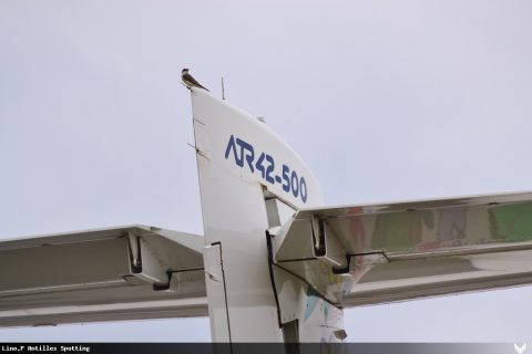 F-OIXD · ATR 42-500, Pointe-à-Pitre – Maryse Condé