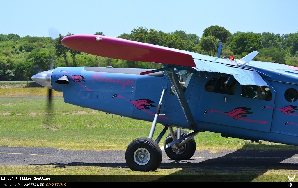 N77DQ · Pilatus PC-6 Porter, Atlantel Aeroservices, Pointe-à-Pitre – Maryse Condé