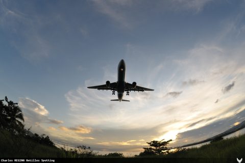 F-GOTO · Airbus A330-300, Martinique – Aimé Césaire