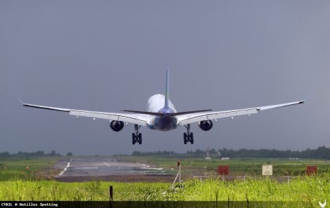 F-OONE · Airbus A330-300, Martinique – Aimé Césaire