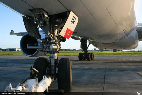 EI-DIR · Airbus A330-200, Pointe-à-Pitre – Maryse Condé