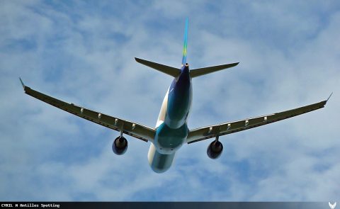F-HPTP · Airbus A330-300, Martinique – Aimé Césaire