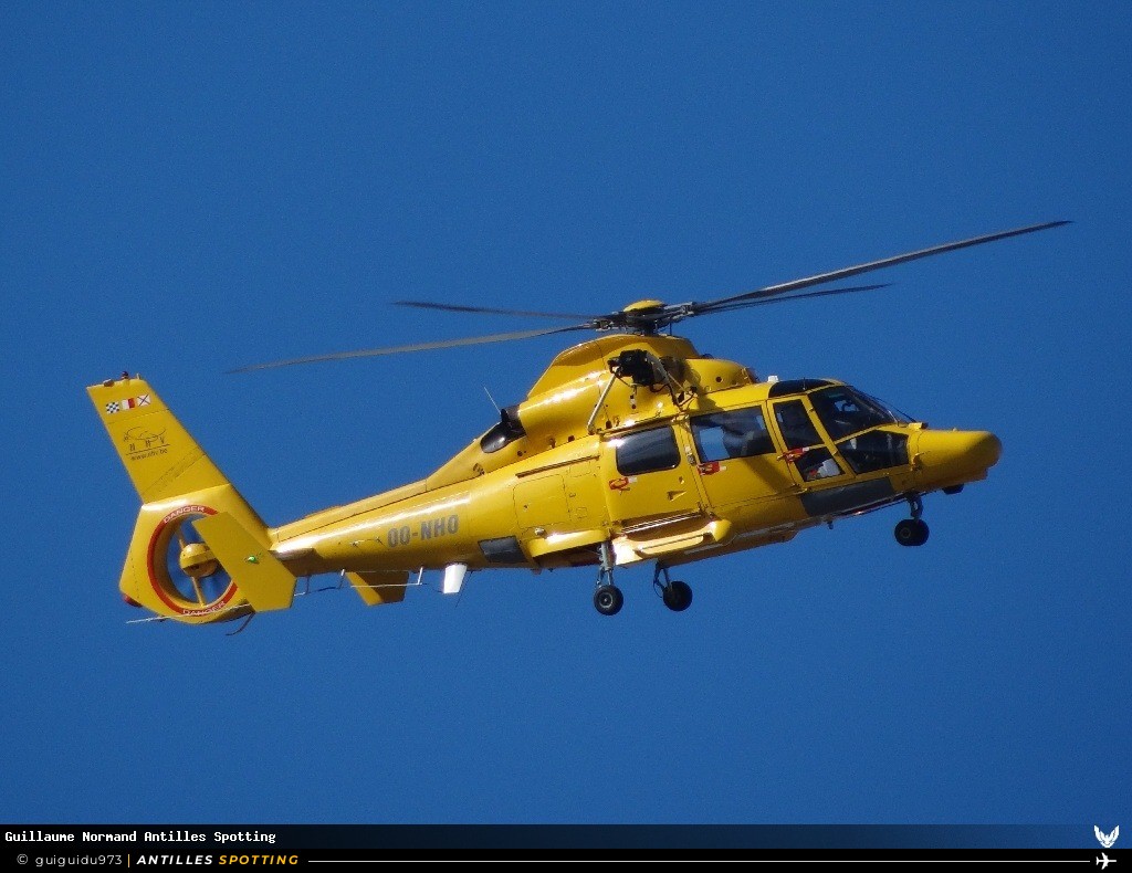 OO-NHO · Airbus Helicopters AS365 Dauphin, Noordzee Helikopters Vlaanderen, Cayenne – Félix Éboué