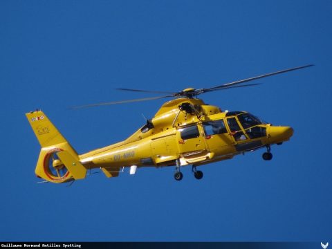 OO-NHO · Airbus Helicopters AS365 Dauphin, Cayenne – Félix Éboué