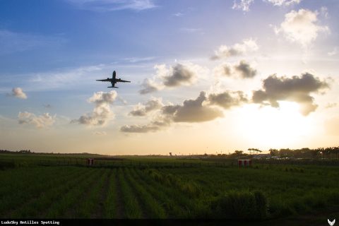 F-OONE · Airbus A330-300, Martinique – Aimé Césaire