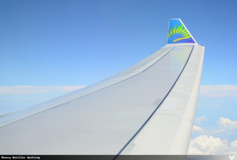 F-GOTO · Airbus A330-300, Martinique – Aimé Césaire