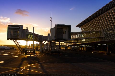 Aéroport · Terminal, Pointe-à-Pitre – Maryse Condé