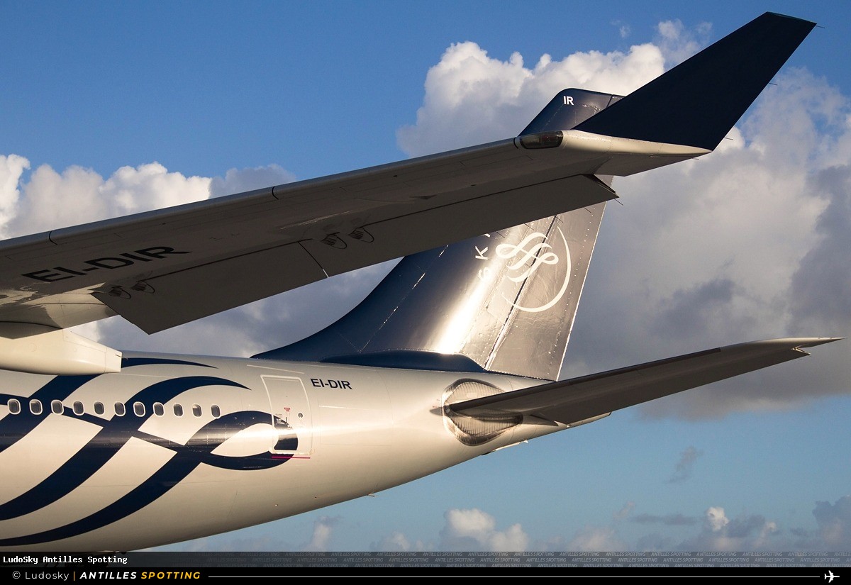 EI-DIR · Airbus A330-200, SkyTeam (Alitalia), Pointe-à-Pitre – Maryse Condé